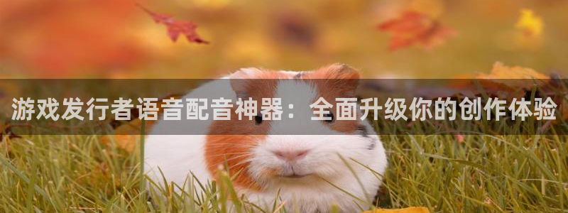 db电竞子集团：游戏发行者语音配音神器：全面升级你的创作体验