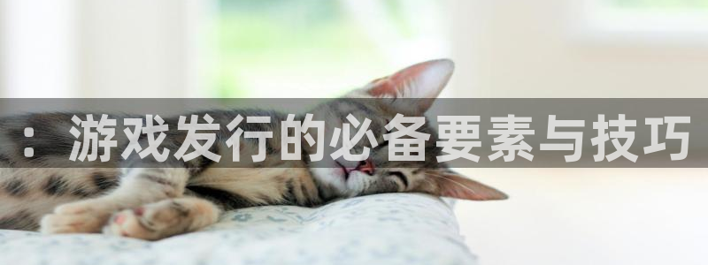 db电竞技术有限公司官网：：游戏发行的必备要素与技巧
