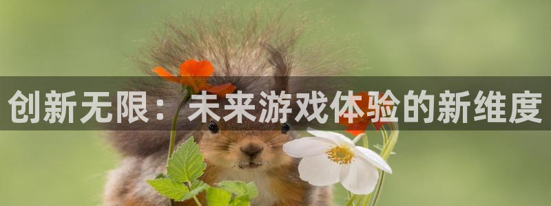 db电竞子图片：创新无限：未来游戏体验的新维度