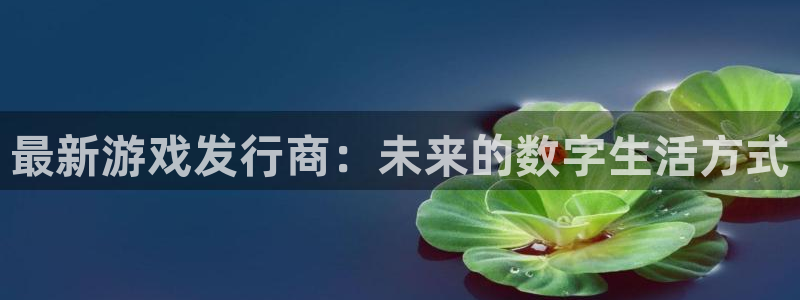 db电竞官网平台怎么样