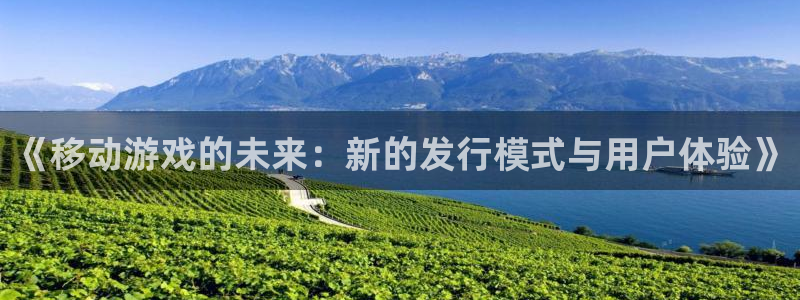 db电竞官网客服服务怎么样：《移动游戏的未来：新的发行模式与用户体验》