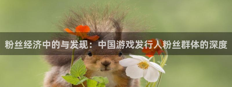 深圳db电竞电商