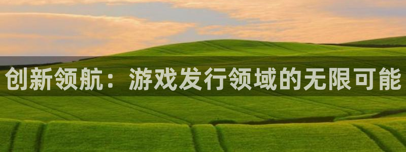 db电竞官网解绑银行卡怎么弄：创新领航：游戏发行领域的无限可能