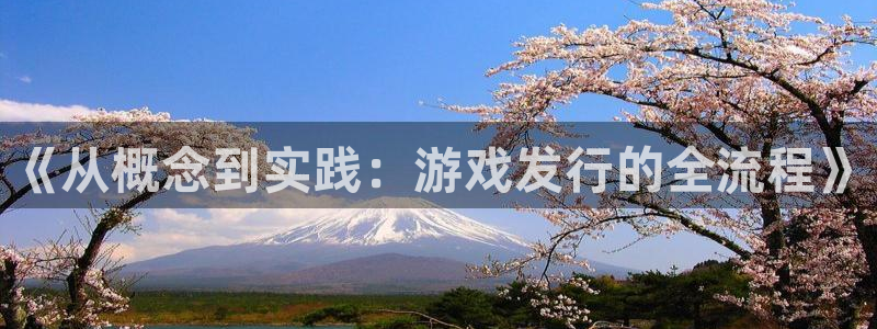 db电竞平台：《从概念到实践：游戏发行的全流程》