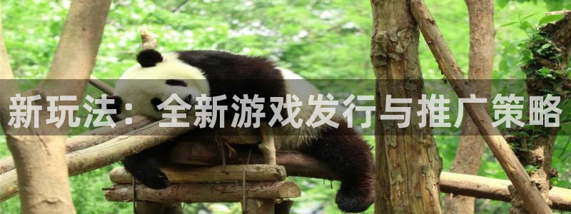 lvncesdb电竞衣服价格